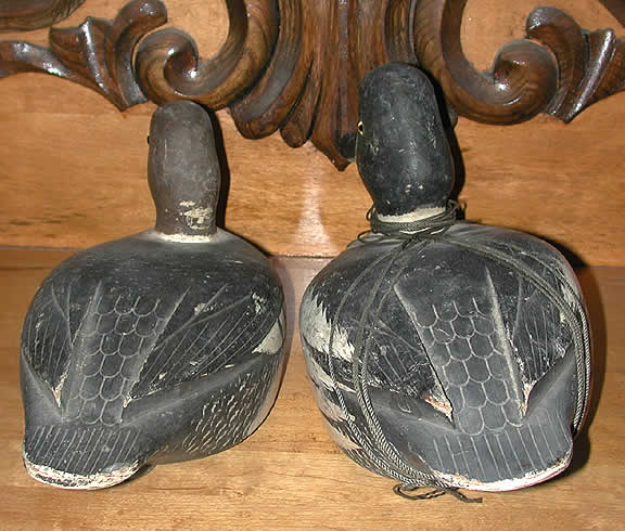 reg bloom decoys